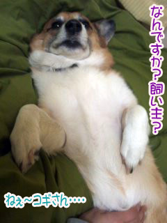 う〜んおさきにおやすみです〜~02.jpg
