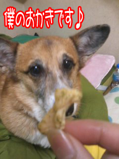 うまっ2~01.jpg
