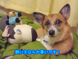 はう???~01.jpg