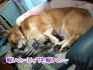 イメージ画像01.jpg