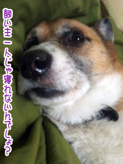 一緒にねてやるよ~03.jpg
