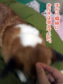 瞬時に消えたおかき~02.jpg