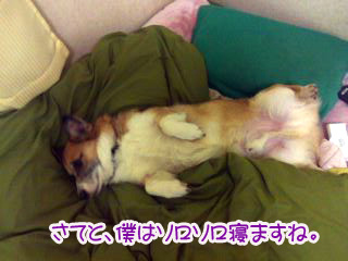 早く電気消して下さいね01.jpg