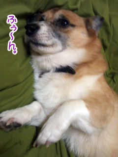 聞いてあげますよ~01.jpg
