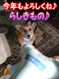 2009年もらしきもの~0002.jpg