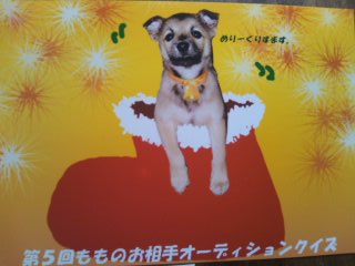プレゼントももさん~01.jpg