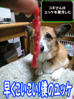 あぁ〜愛しのユッケさま~0002.jpg