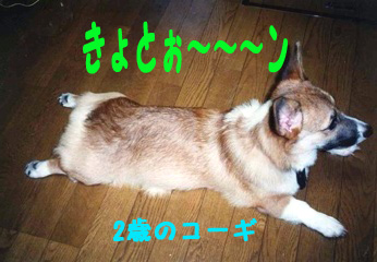 う〜んがんどぅどぅ.jpg