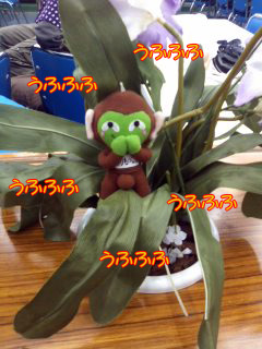 お前は!~01.jpg