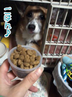 お待ちかねご飯~01.jpg