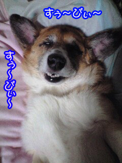 きもいぜコギさん~0002.jpg