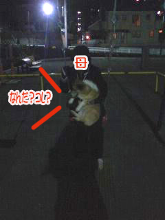 こぎこーぎブランコ~01.jpg