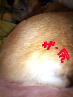 しりしりしり~01.jpg