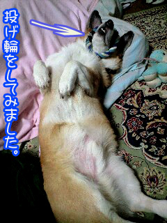 すとら〜いく~0003.jpg