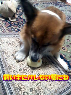 そぉ〜っと移動です~01.jpg