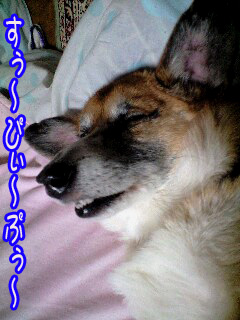 その寝顔は~0002.jpg