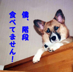 たべてなぁ〜いつ.jpg