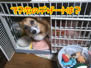 でっ?次は?~01.jpg