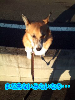 まぁ〜まてよ~03.jpg