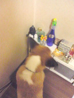 もう少しだべ~01.jpg