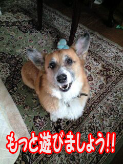 もっと遊べ~0003.jpg