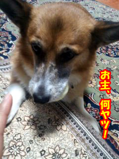 やっめてぇ~02.jpg