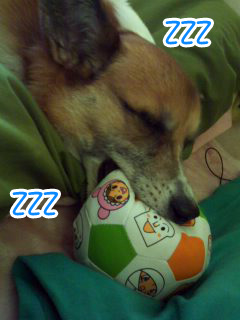 アンパン睡眠~01.jpg