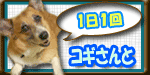 コギさんとバナー-1.gif
