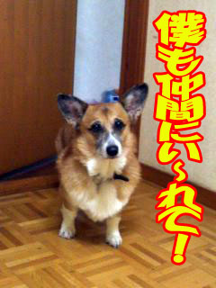 ネェ〜ってば!!!~01.jpg