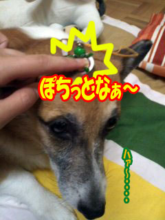 押された・・・~02.jpg