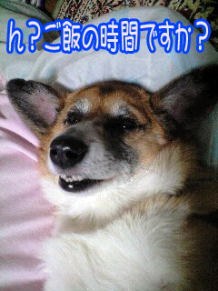 何かいいましたか?~0003.jpg