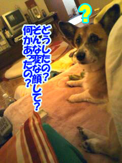 何か問題でも?01.jpg
