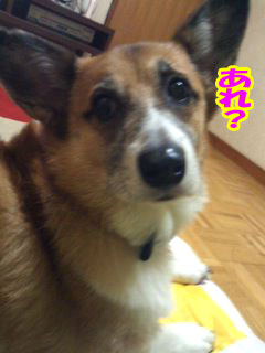 近いですね~03.jpg