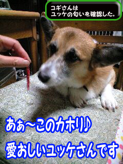 近づいてみた0001.jpg