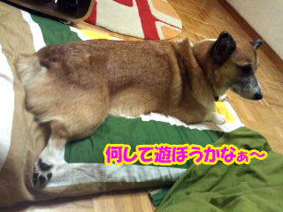 今日は何をしますか?~02.jpg
