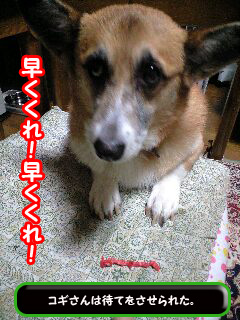 早く下さいませませませませ~0003.jpg