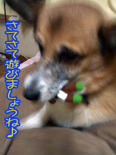 頂きます!!!!!03.jpg