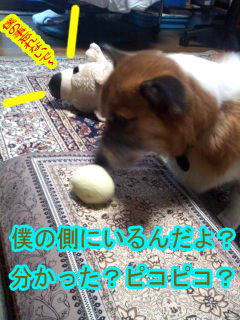 内緒話~01.jpg