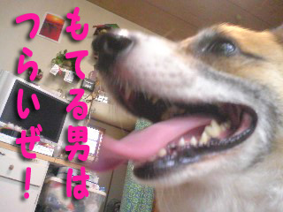 僕はもてもて〜~01.jpg