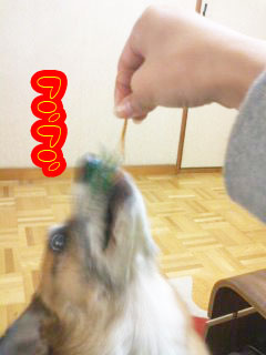 味見1~02.jpg